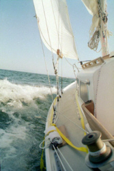 jakln2.jpg - 28939 Bytes