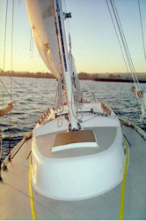 jakln4.jpg - 29354 Bytes