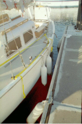 jakln5.jpg - 30773 Bytes