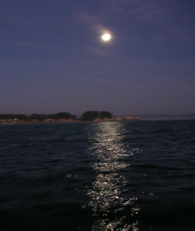 moon2.jpg - 44272 Bytes