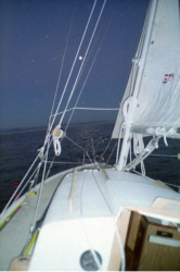 moonlite.jpg - 26966 Bytes