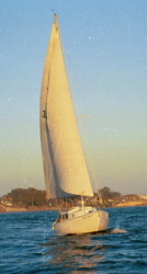 portr1.jpg - 26705 Bytes