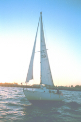 portr3.jpg - 19739 Bytes