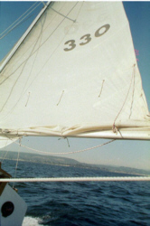 reefed1.jpg - 26399 Bytes