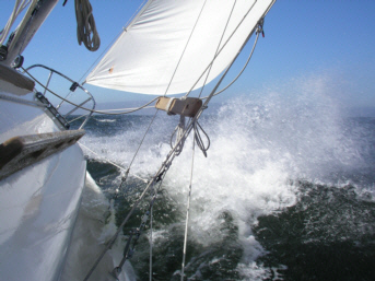 sail14.jpg - 57083 Bytes