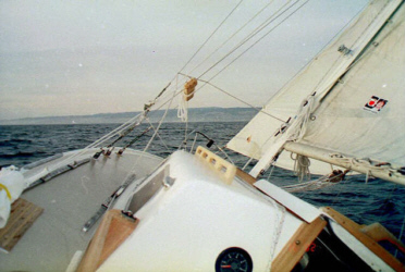 sail4.jpg - 59039 Bytes