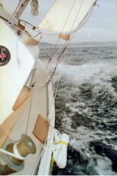 sail5.jpg - 32710 Bytes