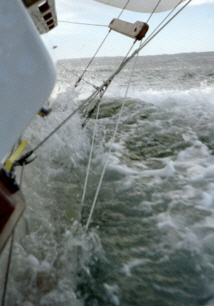 sail6.jpg - 39032 Bytes