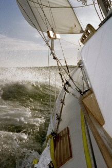 sail7.jpg - 47401 Bytes