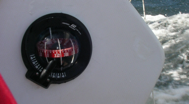 sail8.jpg - 37325 Bytes