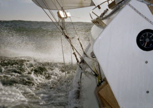 sail9.jpg - 42958 Bytes