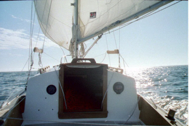 wngwng1.jpg - 55705 Bytes