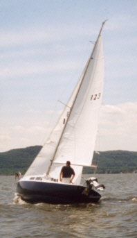 gladbamb.jpg - 32667 Bytes