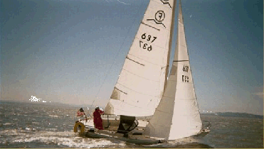 parzifal4.gif - 43976 Bytes