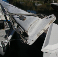 mastc.jpg - 30041 Bytes