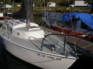 projcomp.jpg - 56210 Bytes