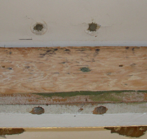 strgbk3.jpg - 44514 Bytes