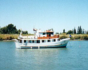 steeves11.jpg
