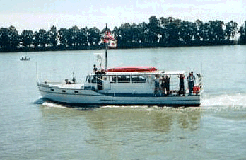 steeves12.gif