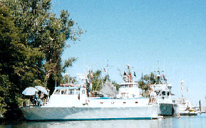steeves9.gif - 41571 Bytes